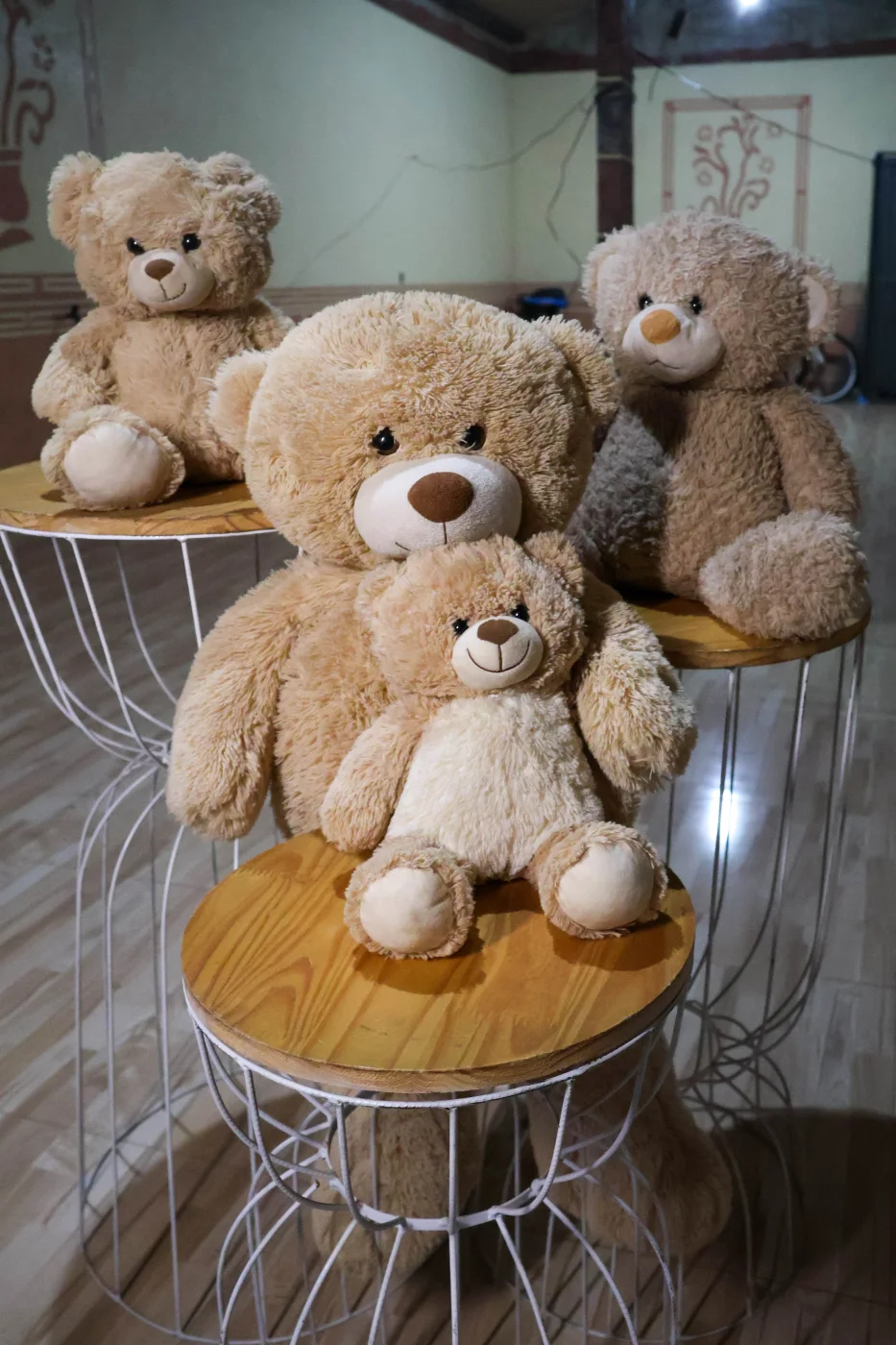 Urso Grande para alugar em Brazlândia